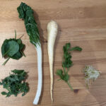 Learning from Nanakusa-gayu: How to Use and Tame Bitterness